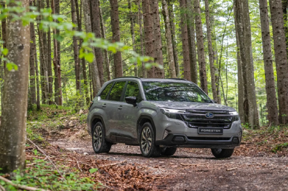 All-wheel drive cars: what they are & how they keep you safe